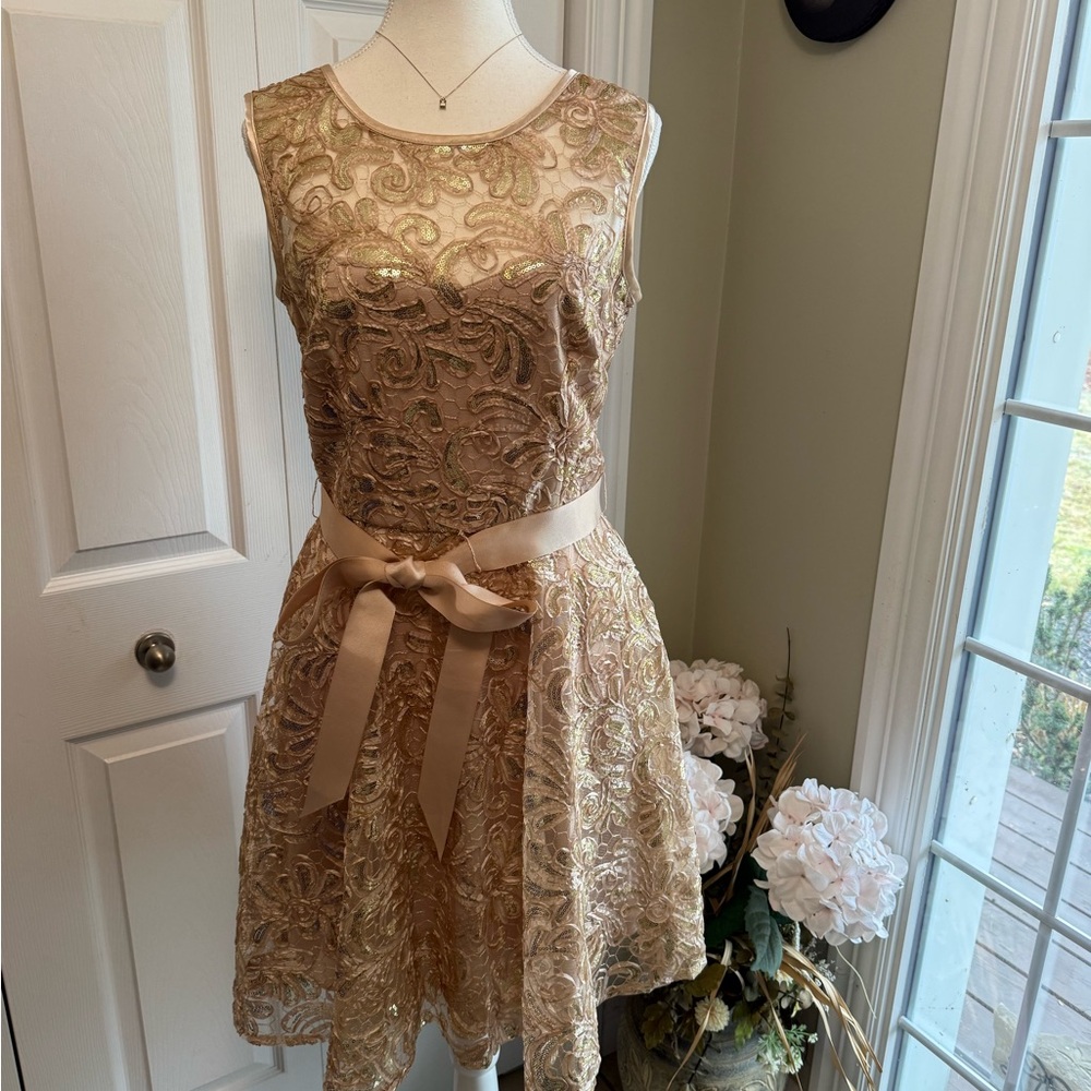Betsy & Adam Gold Lace Dress